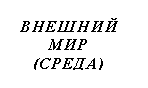 Подпись: ВНЕШНИЙ МИР
(СРЕДА)
